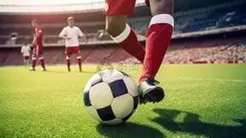 中国女排世界杯对决喀麦隆，CCTV5直播链接及赛事时间揭晓