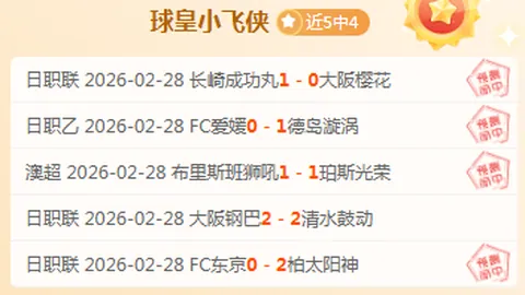 篮球盛宴：灰熊激战老鹰，NBA焦点对决等你来战！